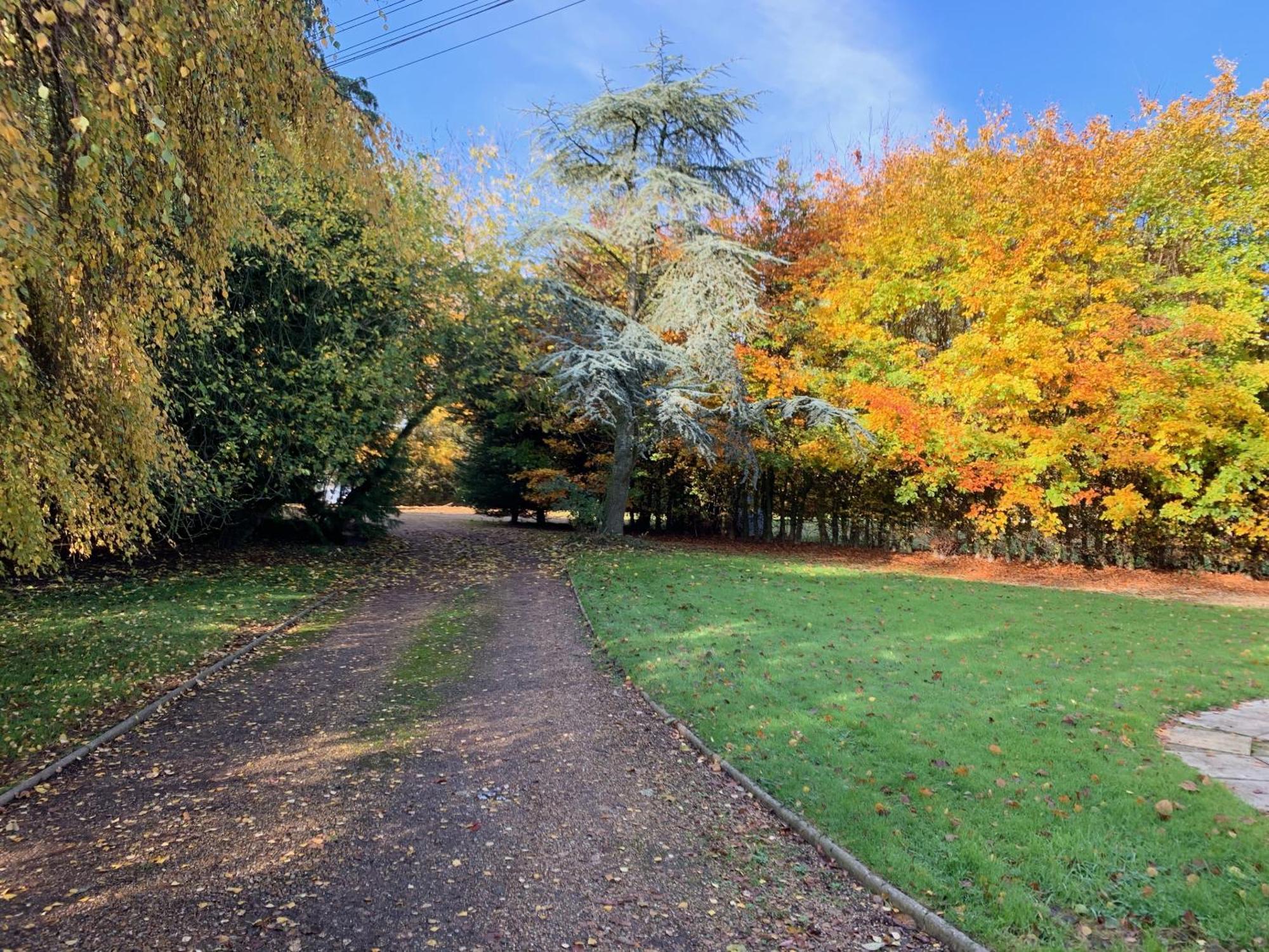 앨더카르 홀 Great Ellingham 외부 사진
